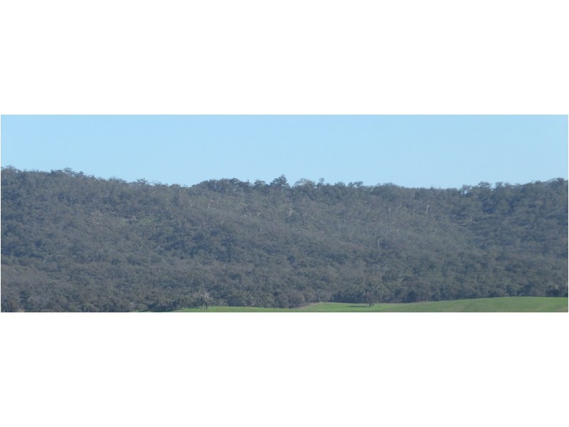 CA19 Johnsons Gully Road, Barkly VIC 3384