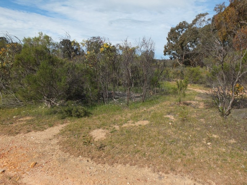 11 Moonambel-Natte Yallock Rd, Moonambel VIC 3478