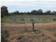 11 Moonambel-Natte Yallock Rd, Moonambel VIC 3478