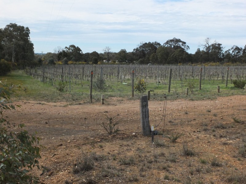 11 Moonambel-Natte Yallock Rd, Moonambel VIC 3478