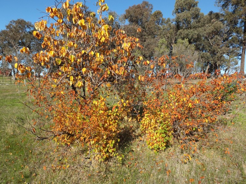 5598 Stawell-Avoca Road, Moonambel VIC 3478