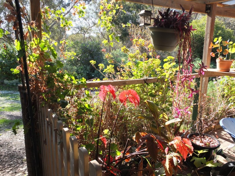 5598 Stawell-Avoca Road, Moonambel VIC 3478