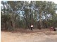 Lot 8 Moonambel-Natte Yallock Rd, Redbank VIC 3477