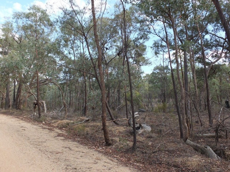 Lot 8 Moonambel-Natte Yallock Rd, Redbank VIC 3477