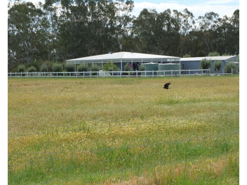 8 Riverbend Road, Natte Yallock VIC 3465