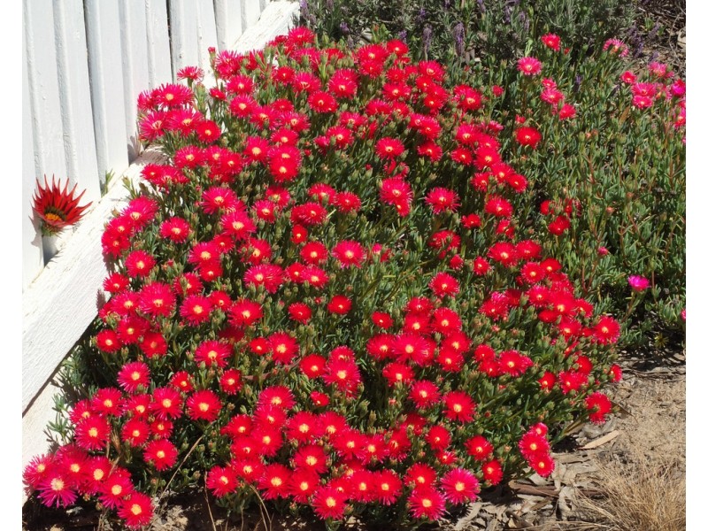 8 Riverbend Road, Natte Yallock VIC 3465