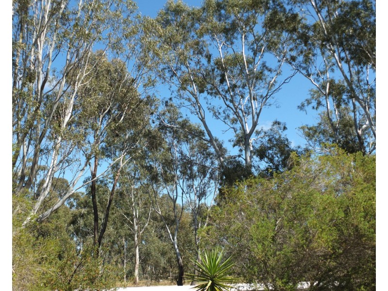 8 Riverbend Road, Natte Yallock VIC 3465