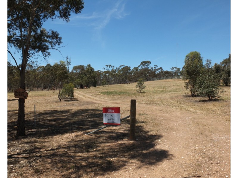 71 North Street, Avoca VIC 3467