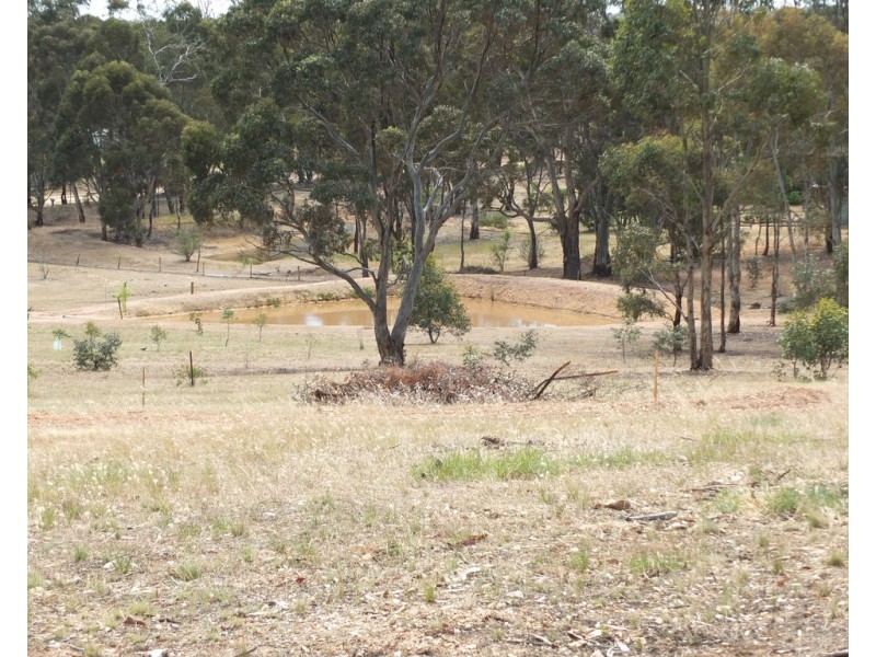 71 North Street, Avoca VIC 3467