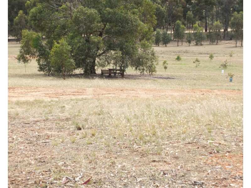 71 North Street, Avoca VIC 3467