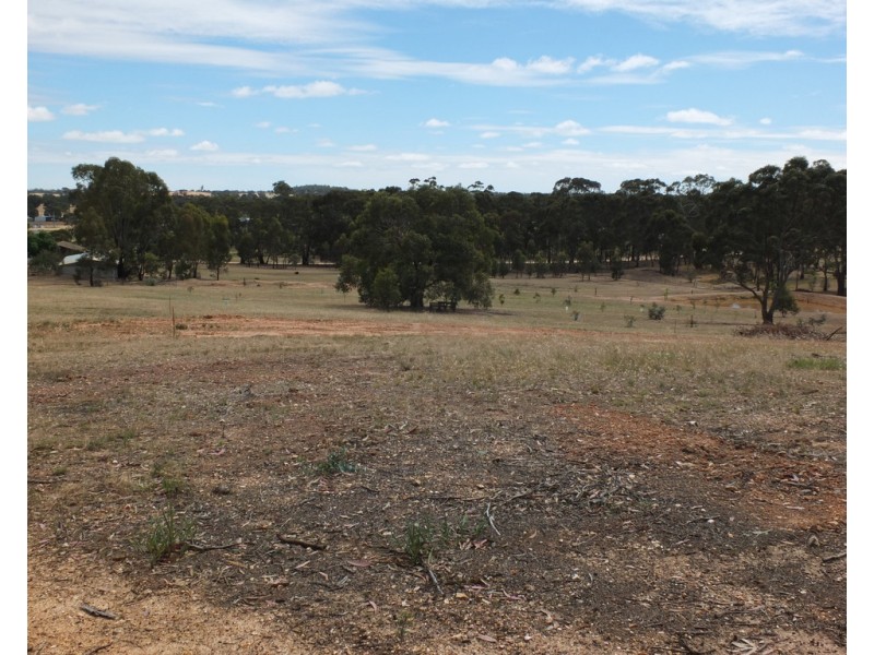 71 North Street, Avoca VIC 3467