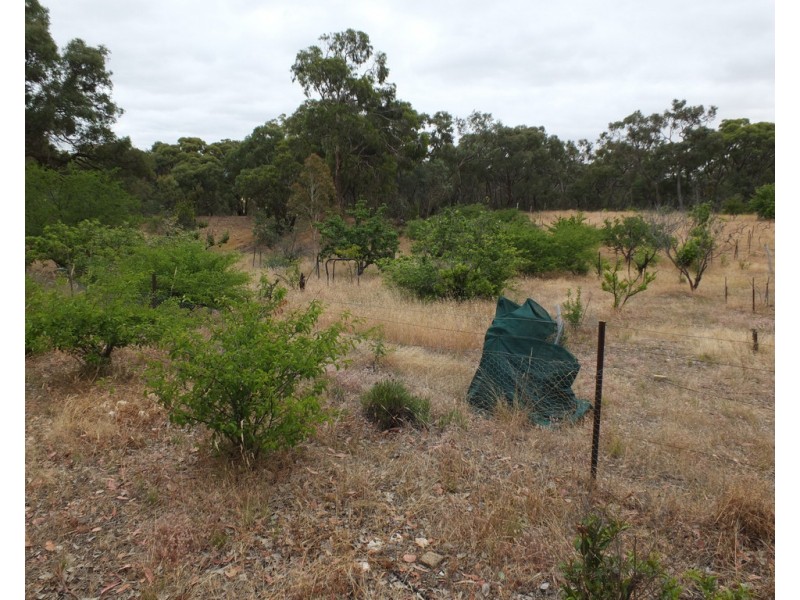 5598 Stawell-Avoca Road,, Moonambel VIC 3478