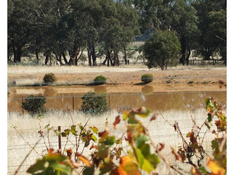 245 Puntons Road, Percydale VIC 3478