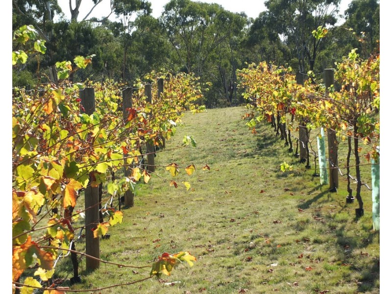 245 Puntons Road, Percydale VIC 3478