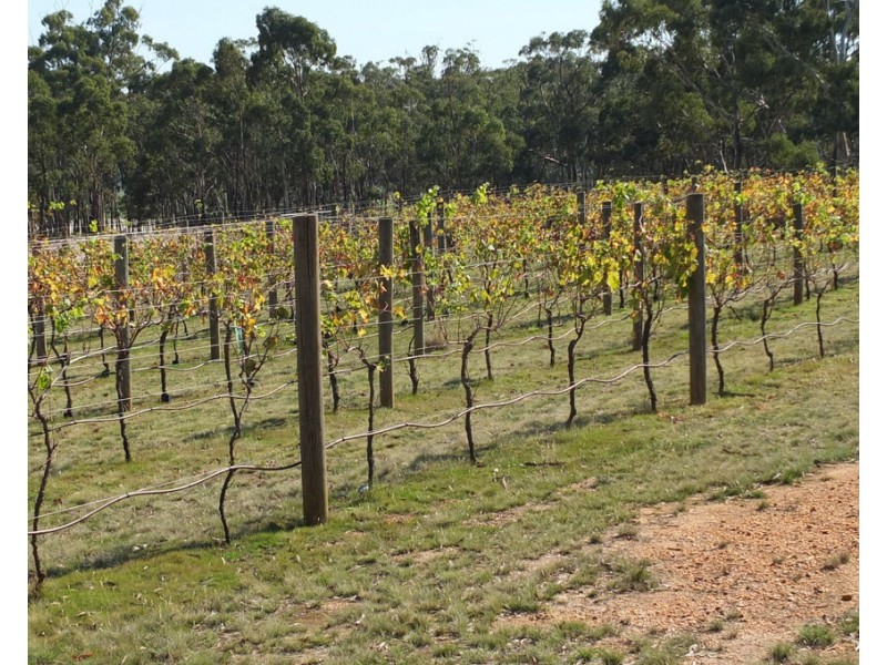 245 Puntons Road, Percydale VIC 3478