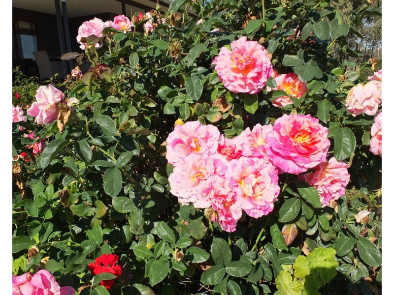 245 Puntons Road, Percydale VIC 3478