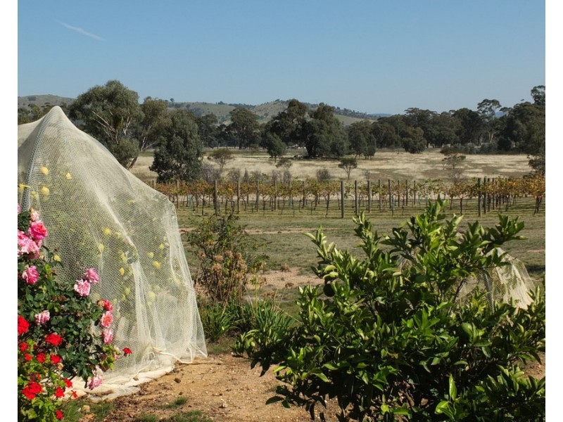 245 Puntons Road, Percydale VIC 3478