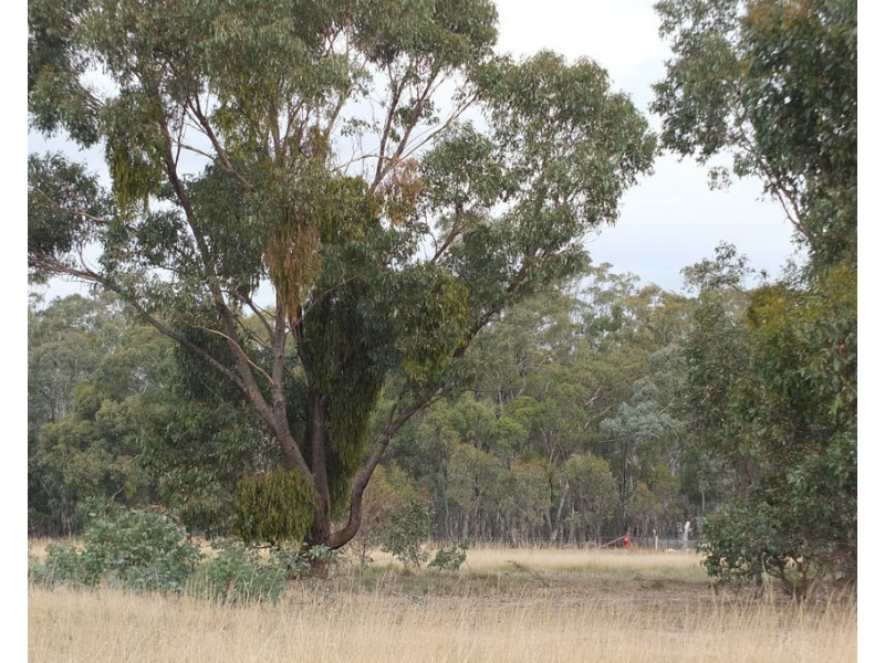 CA 1A and 5, 122 Redpath Road, Avoca VIC 3467