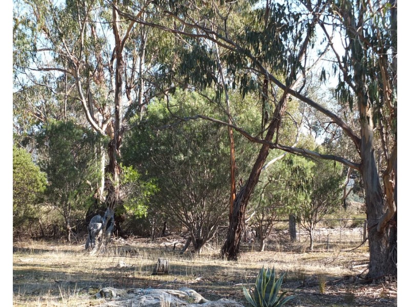 17 Hamer Road, Percydale VIC 3478