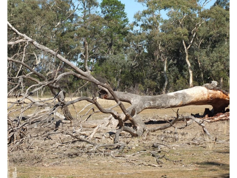 17 Hamer Road, Percydale VIC 3478