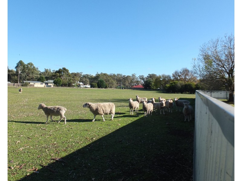 11 Thomson St, Lexton VIC 3352