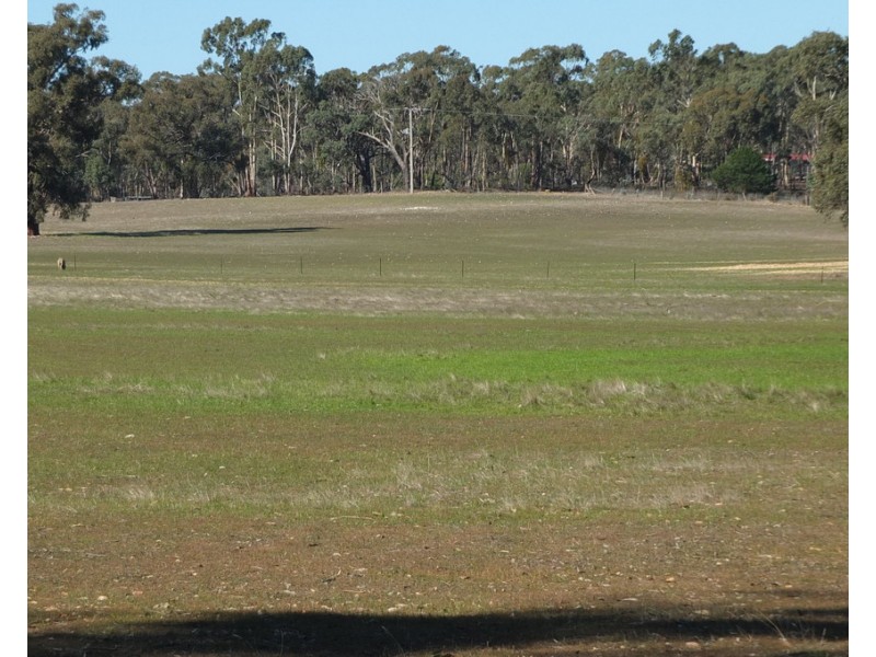 Lot 4 Sunraysia Highway, Avoca VIC 3467