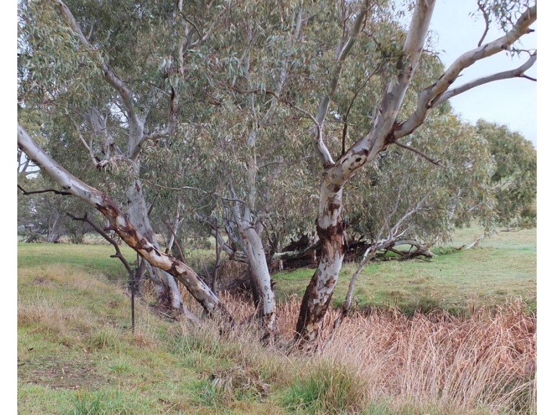 CA1A and CA164 McDonalds Road,, Amphitheatre VIC 3468