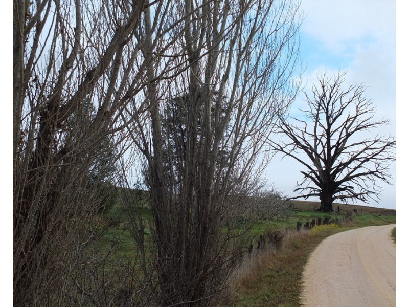 CA1A and CA164 McDonalds Road,, Amphitheatre VIC 3468