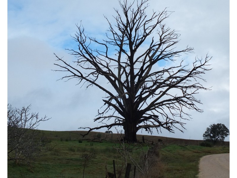 CA1A and CA164 McDonalds Road,, Amphitheatre VIC 3468