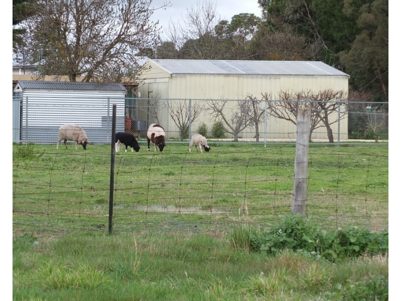 19 Goldsmith Street, Lexton VIC 3352