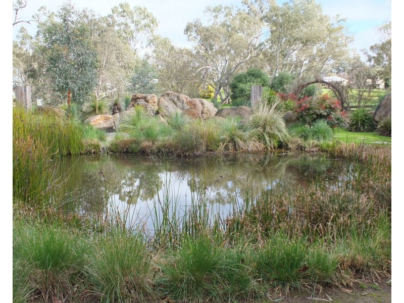 151 High Street, Avoca VIC 3467