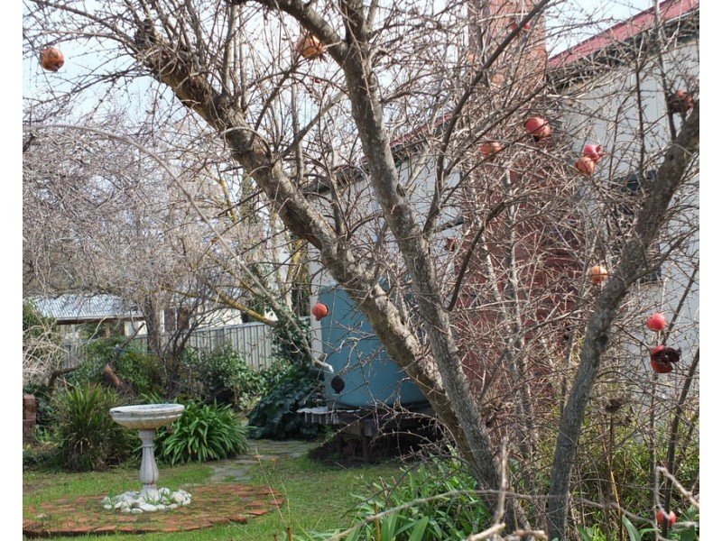 151 High Street, Avoca VIC 3467