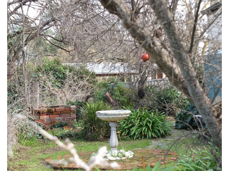 151 High Street, Avoca VIC 3467