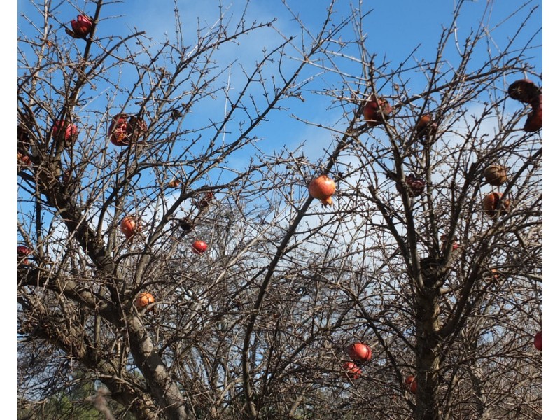 151 High Street, Avoca VIC 3467