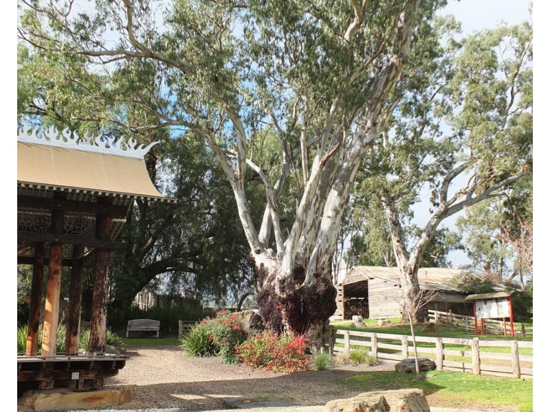 151 High Street, Avoca VIC 3467