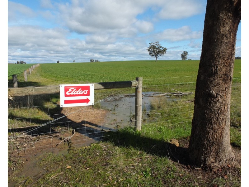 339 Stevens Lane, Mount Hooghly VIC 3472