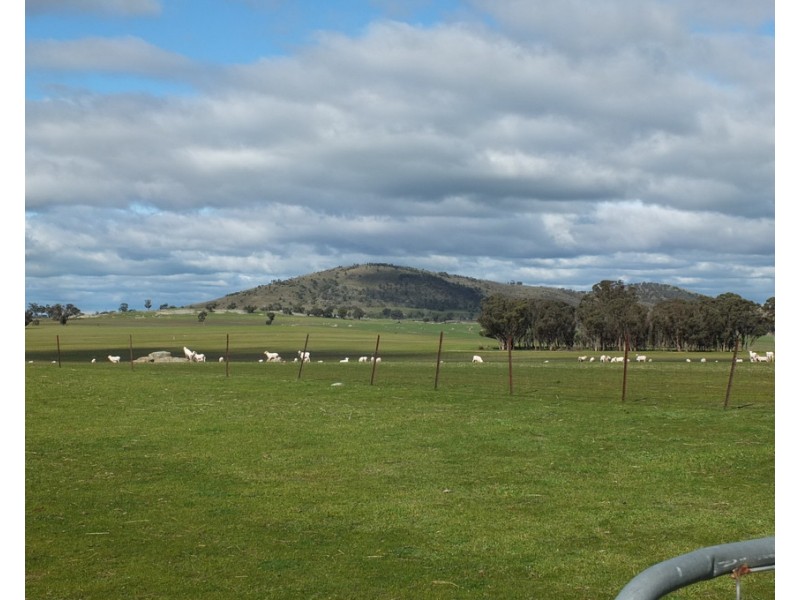 339 Stevens Lane, Mount Hooghly VIC 3472