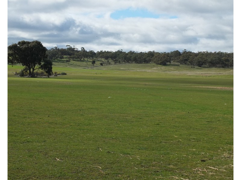 102 Apple Jack Road, Dunolly VIC 3472