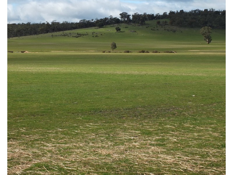 102 Apple Jack Road, Dunolly VIC 3472