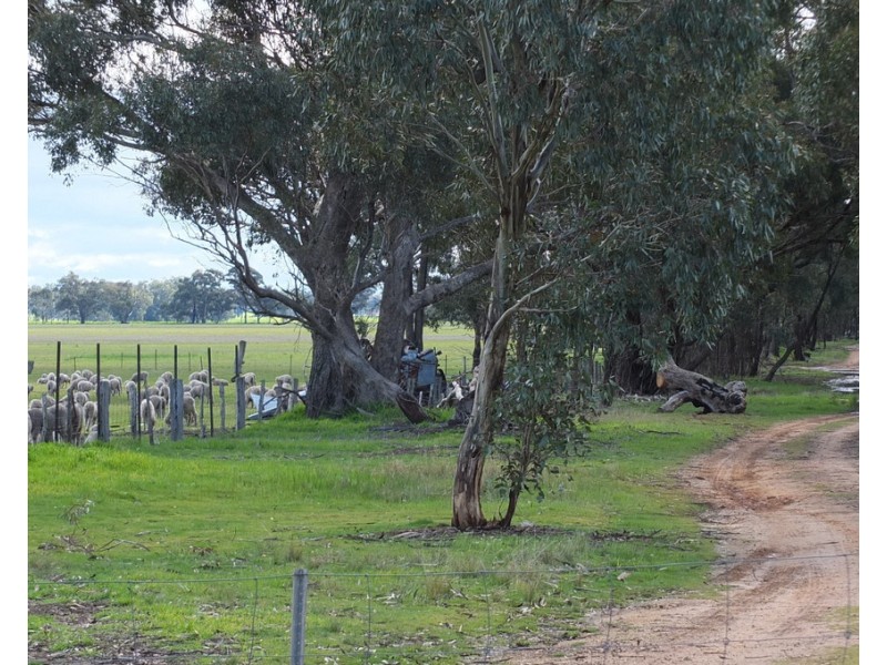 102 Apple Jack Road, Dunolly VIC 3472