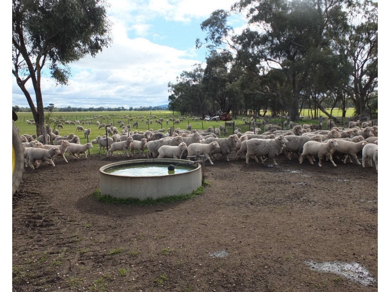 107 Apple Jack Rd, Mount Hooghly VIC 3472