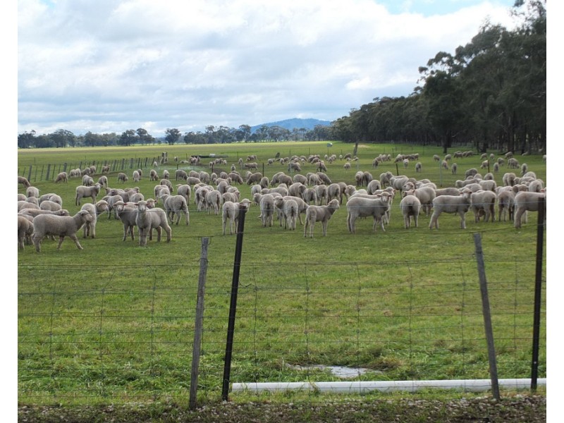 107 Apple Jack Rd, Mount Hooghly VIC 3472