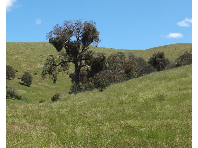 Lots 13D and 14D Rivetts Road, Amphitheatre VIC 3468