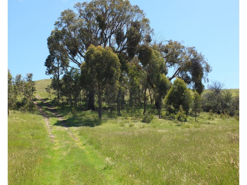 Lots 13D and 14D Rivetts Road, Amphitheatre VIC 3468