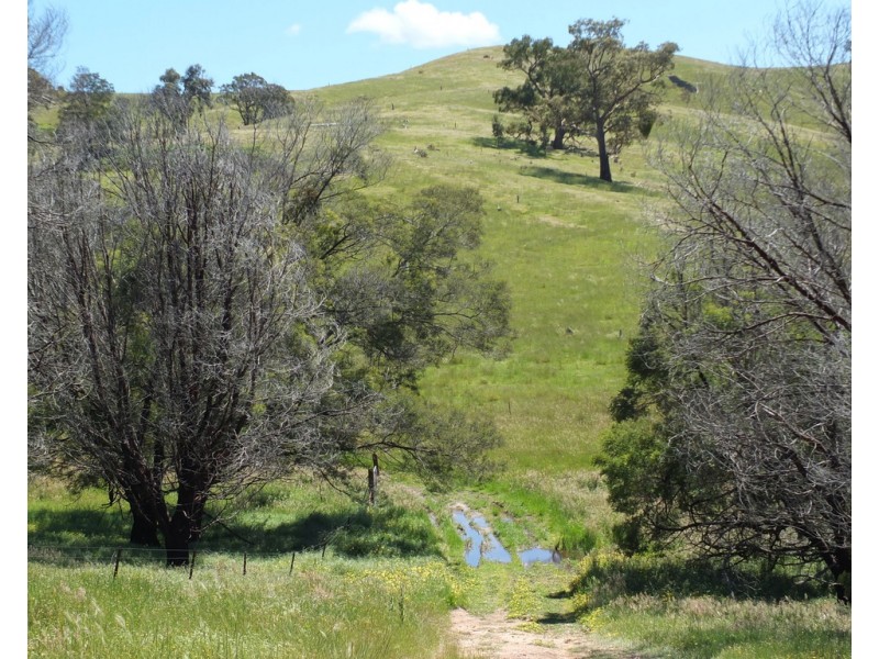 Lots 13D and 14D Rivetts Road, Amphitheatre VIC 3468