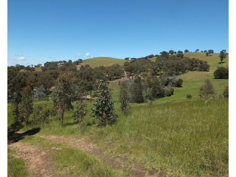 Lots 13D and 14D Rivetts Road, Amphitheatre VIC 3468