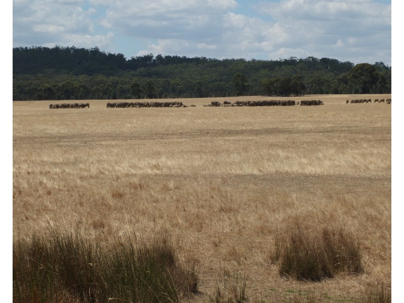 270 Apple Jack Road, Dunolly VIC 3472