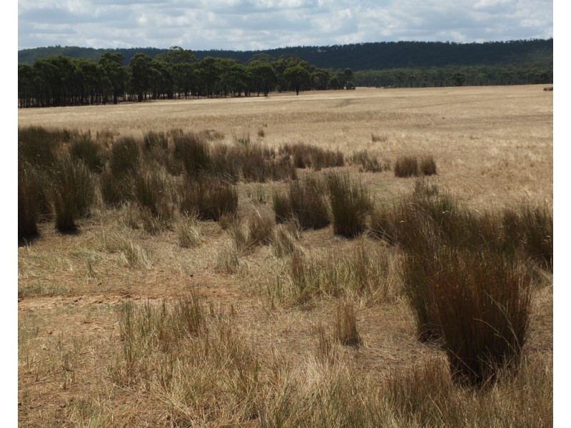 270 Apple Jack Road, Dunolly VIC 3472