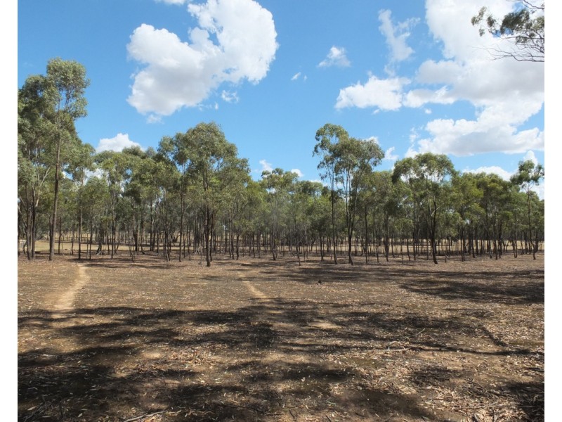 Lot 1TP8559220 Box Flat Track, Lamplough VIC 3352