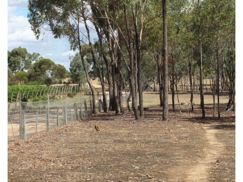 Lot 1TP8559220 Box Flat Track, Lamplough VIC 3352